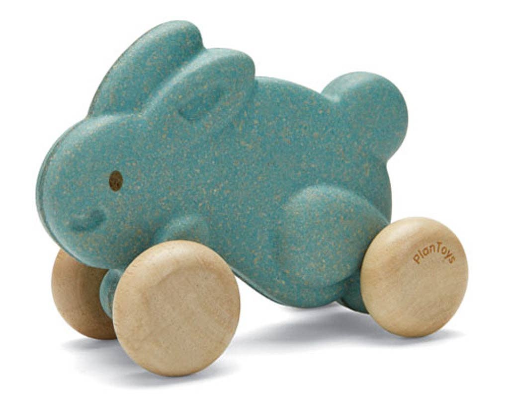 Push Along Bunny Wooden Toy
