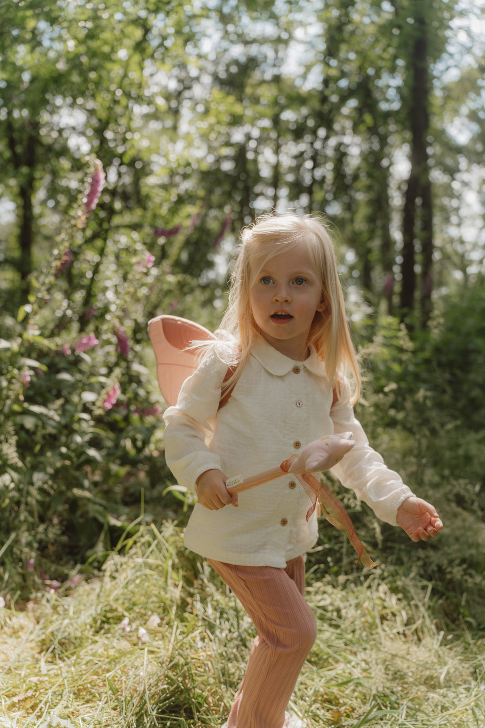 Fairy wings and magic wand