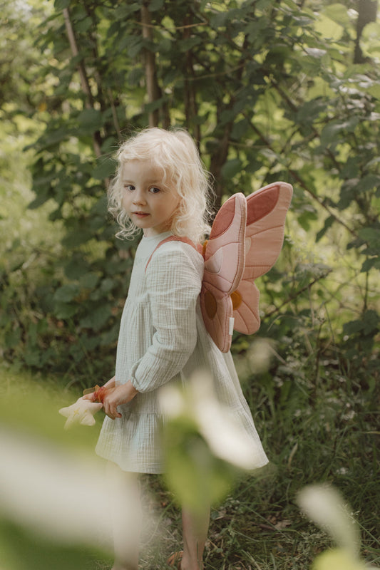 Fairy wings and magic wand