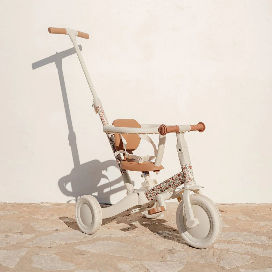 4 in 1 Tricycle with push bar Sunny Flower