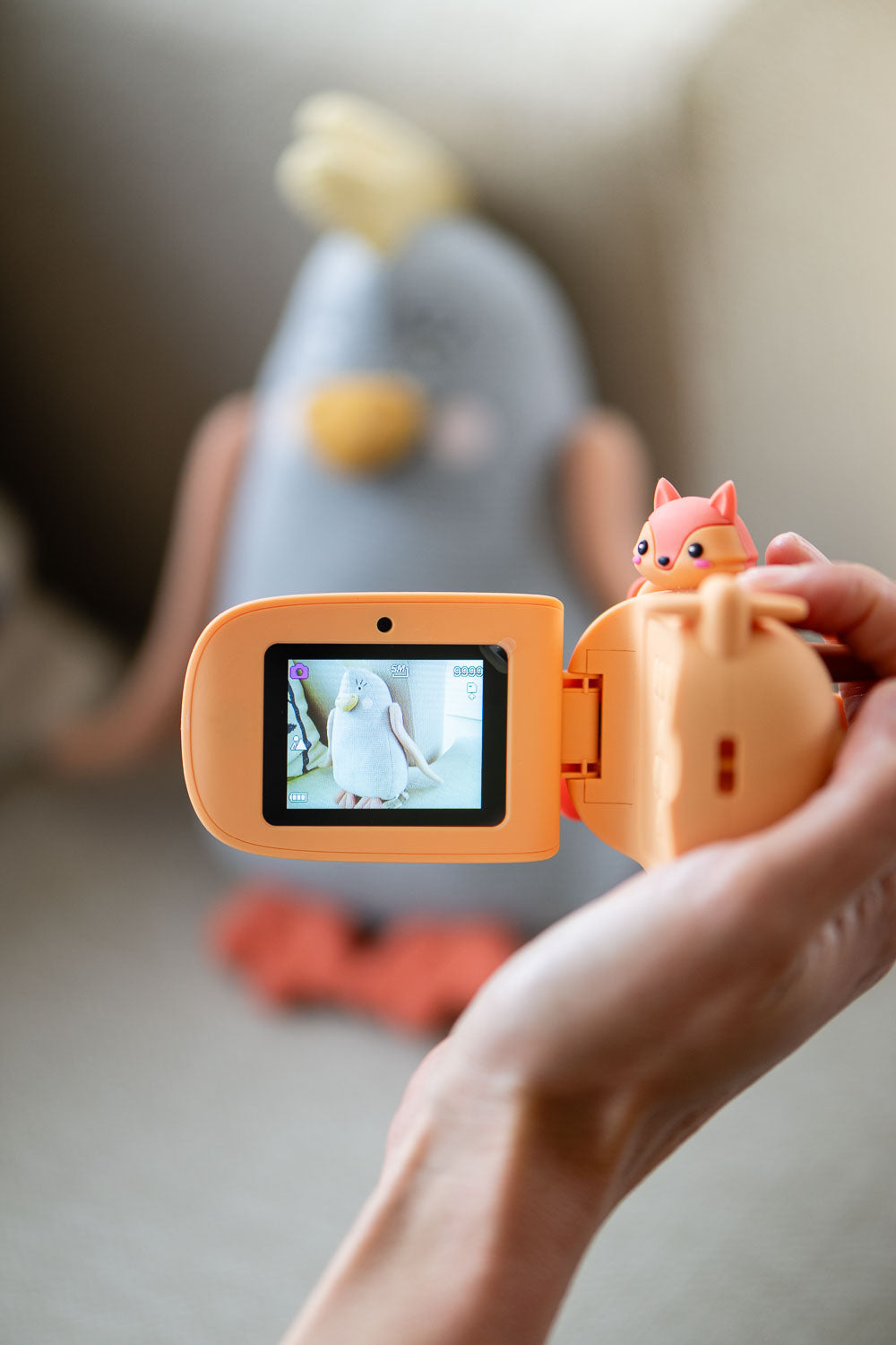 Zoo video - Fox