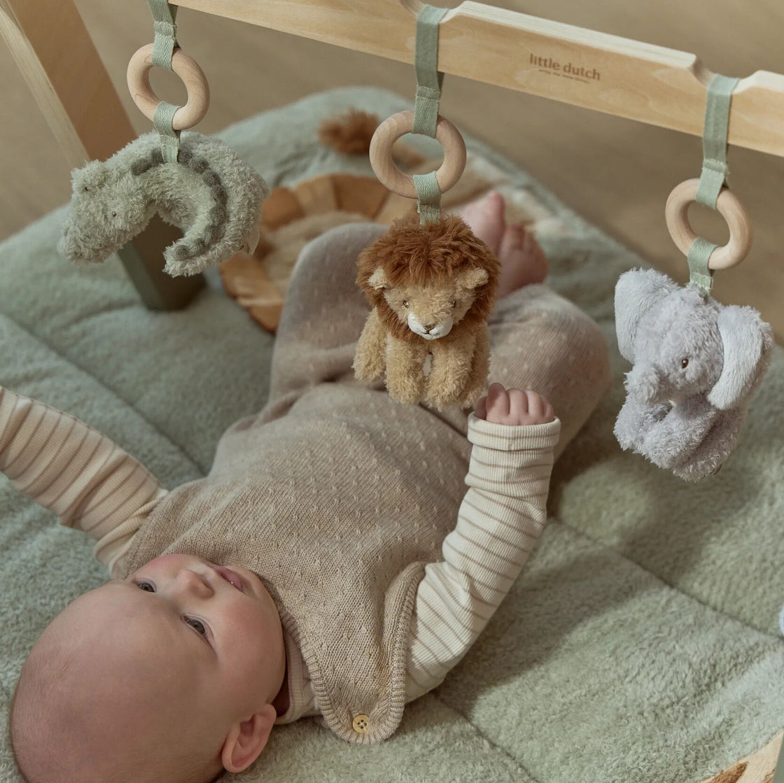 Baby gym - Safari Friends