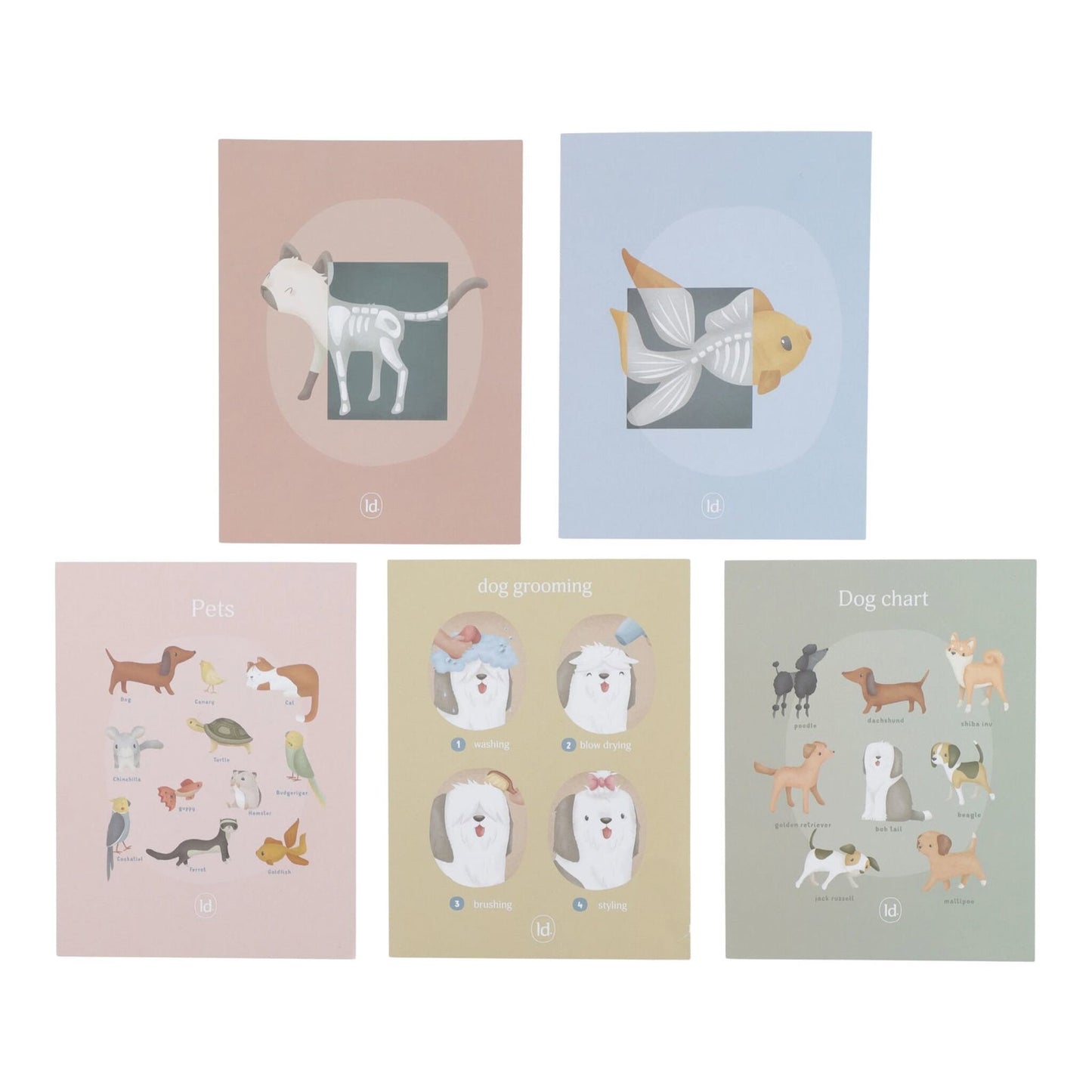 Wooden veterinary practice – Green – Essentials