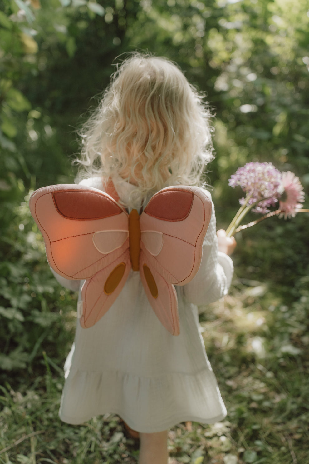Fairy wings and magic wand