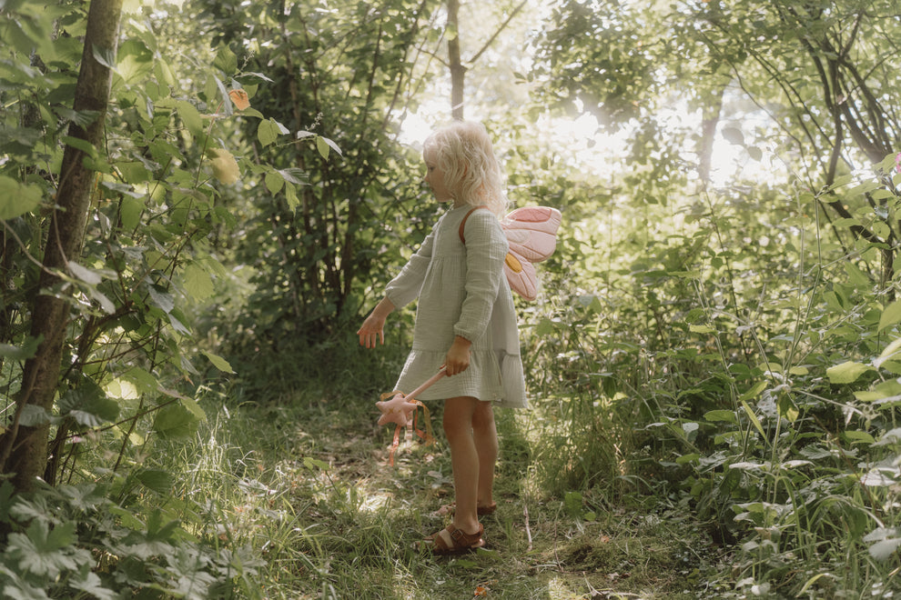 Fairy wings and magic wand