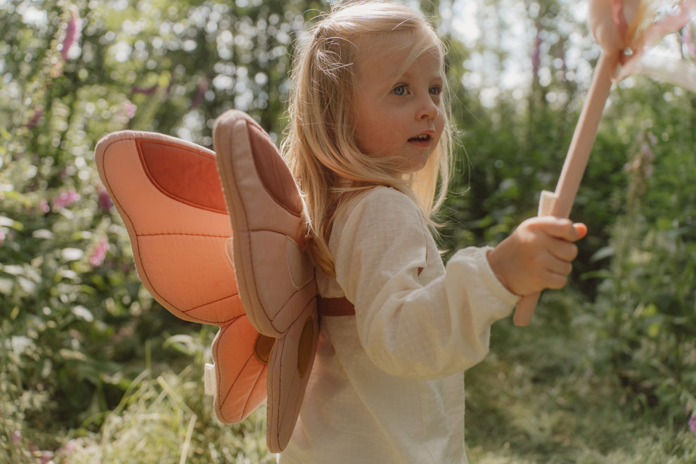 Fairy wings and magic wand