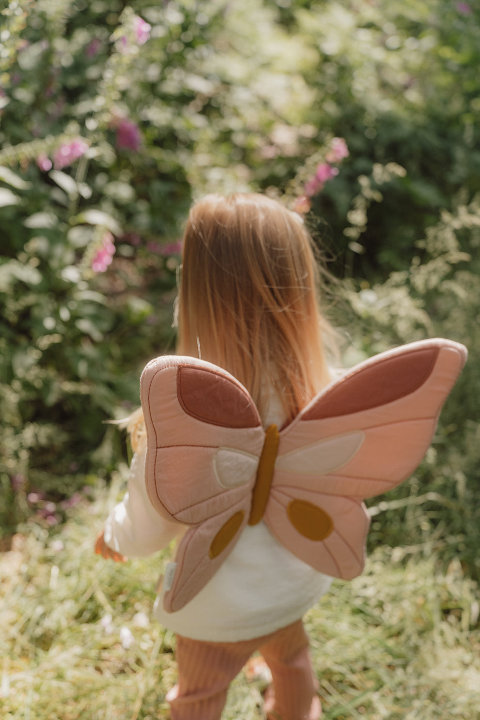 Fairy wings and magic wand
