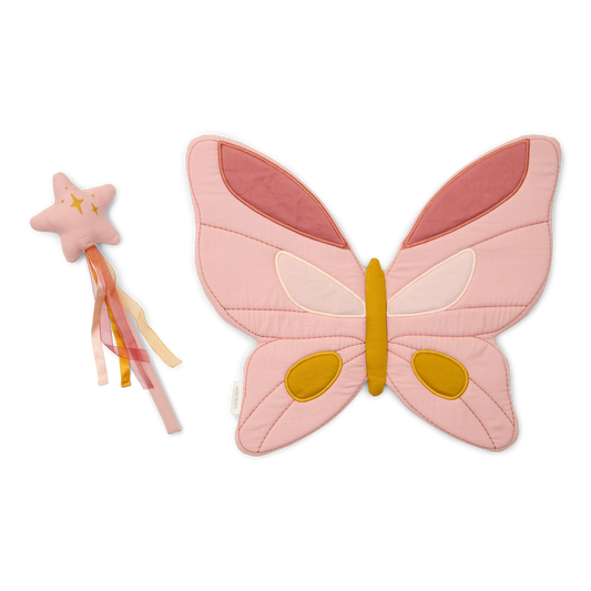 Fairy wings and magic wand