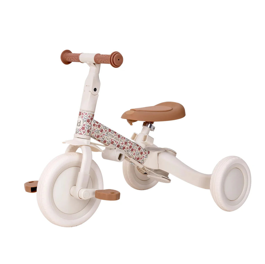 4 in 1 Tricycle with push bar Sunny Flower
