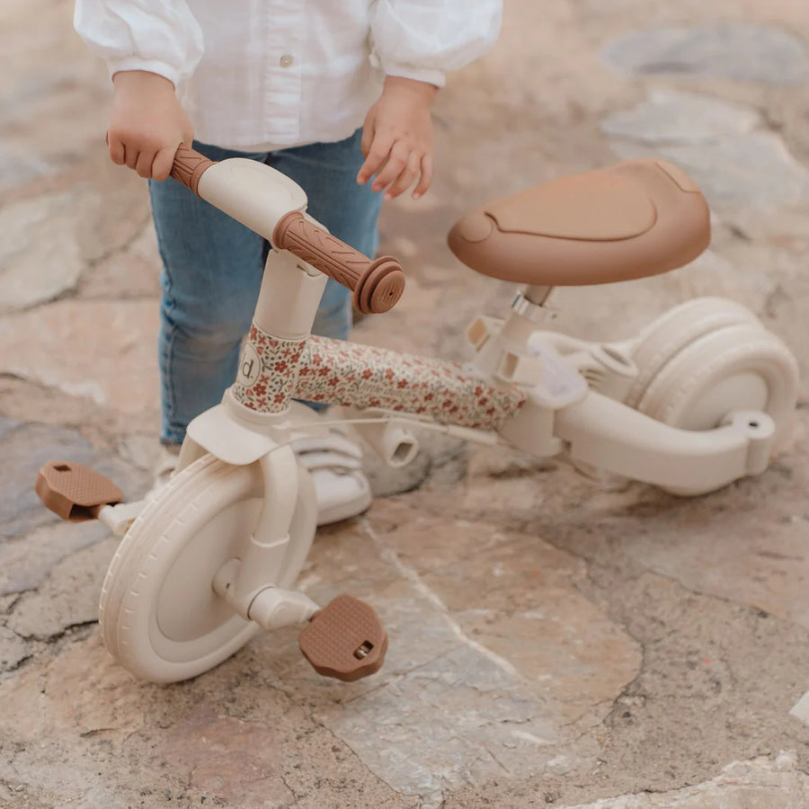 4 in 1 Tricycle with push bar Sunny Flower