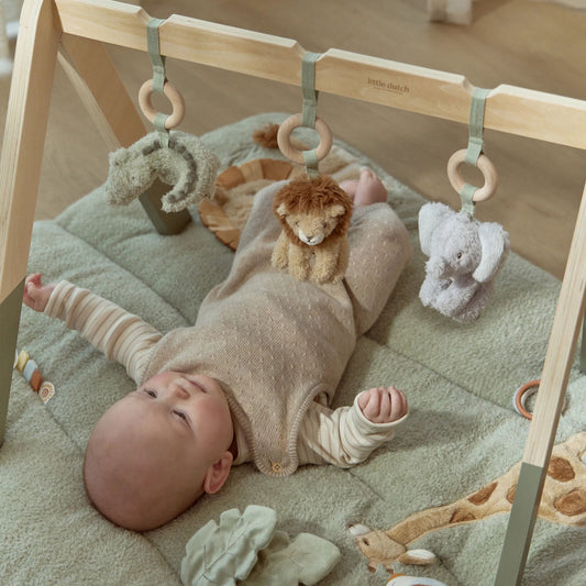 Baby gym - Safari Friends