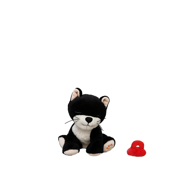 Binky Kitten Kit Black & White