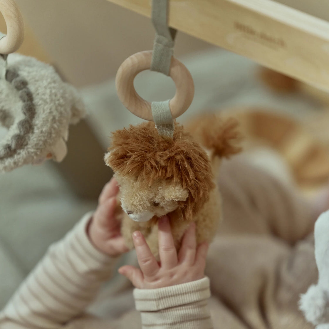 Baby gym - Safari Friends